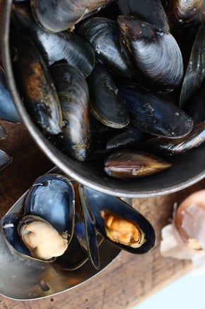Mussels