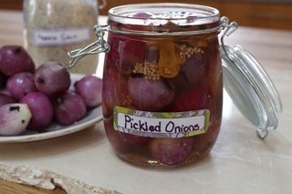 Get Pickled on Onions 