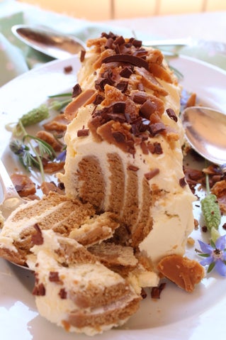 Pembroke Ginger Log