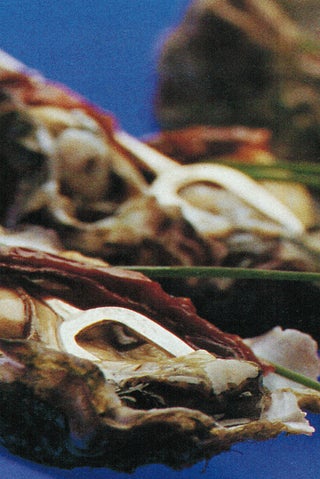 Oysters