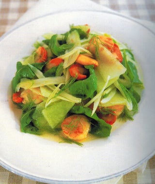Scallop and fennel salad