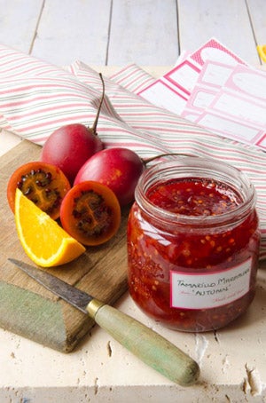 Tamarillo And Orange Marmalade